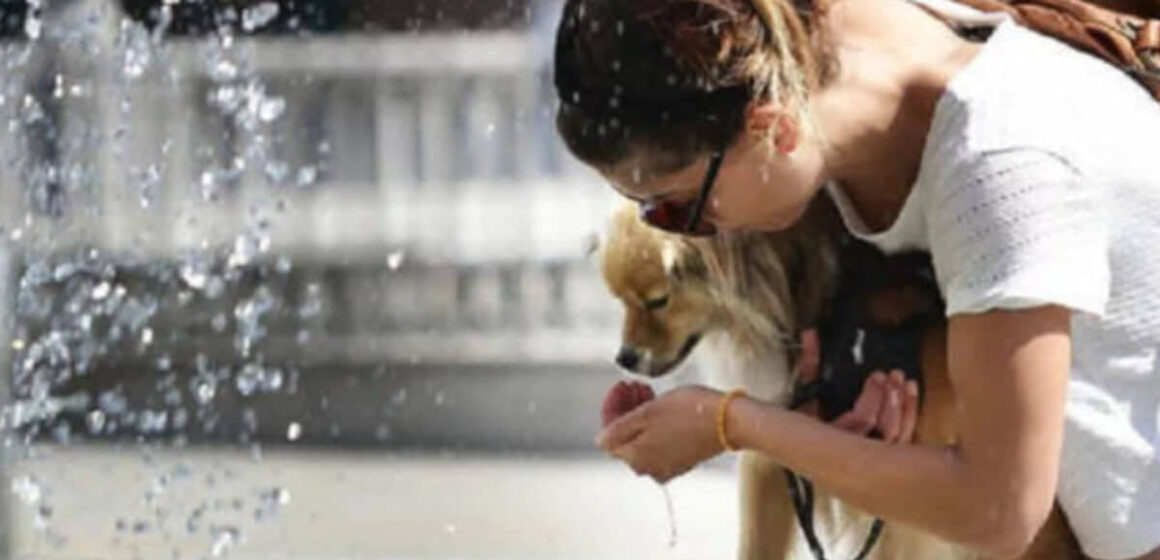 Caldo infernale. Consigli utili per come affrontare queste queste giornate bollenti