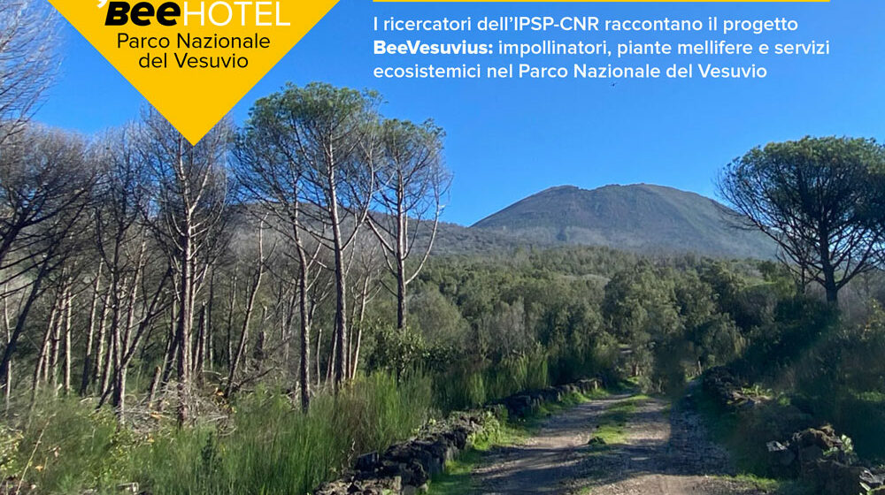 Post-Progetto-BeeVesuvius_EPNV Vesuvio. Il 9 luglio alla Riserva Tirone ricercatori del CNR racconteranno l’importanza delle api e degli impollinatori per l’ecosistema