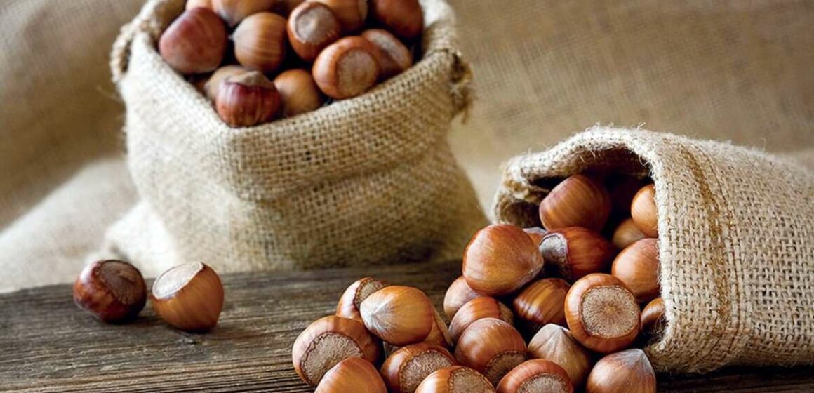 L’ autunno e le sue nocciole. La Campania vanta eccellenti raccolti ed è tra i maggiori produttori in Italia.