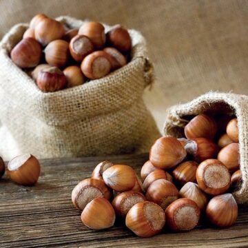 nocciole-avellane-1 L’ autunno e le sue nocciole. La Campania vanta eccellenti raccolti ed è tra i maggiori produttori in Italia.