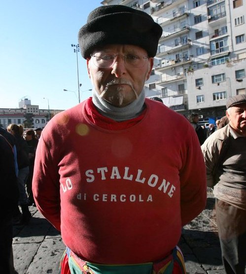 lo stallone di cercola emilio perrella Cercola. Festa del 3° scudetto del Napoli, Emilio Perrella: “Vestiamo di biancoazzurro la città!”