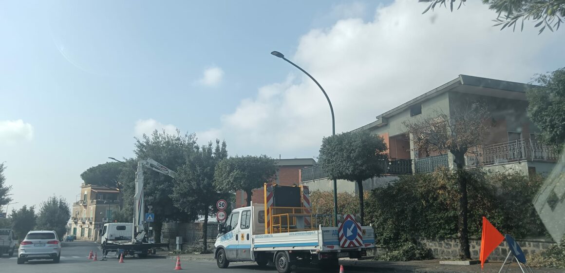 San Sebastiano al Vesuvio. Piazza della Repubblica, iniziata potatura degli alberi