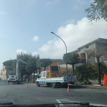 San Sebastiano al Vesuvio. Piazza della Repubblica, iniziata potatura degli alberi