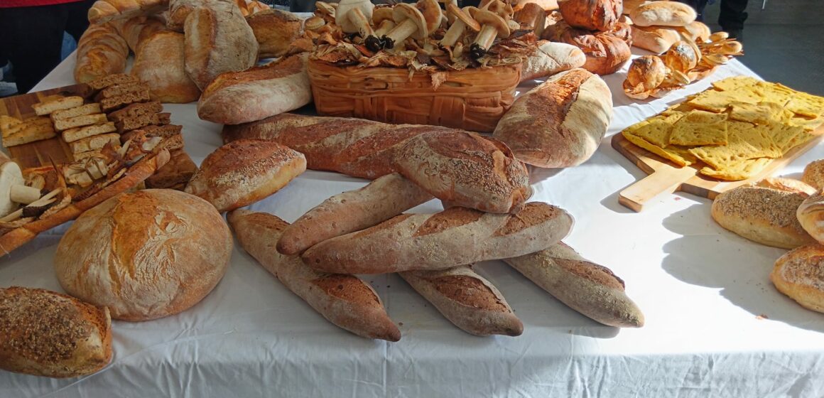 San Sebastiano al Vesuvio. PANEAPOLIS in Piazza Mercato fini al 19 maggio. Evento targato Unipan Campania