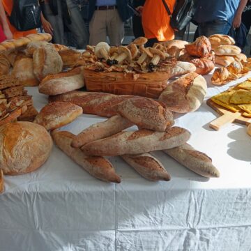 San Sebastiano al Vesuvio. PANEAPOLIS in Piazza Mercato fini al 19 maggio. Evento targato Unipan Campania