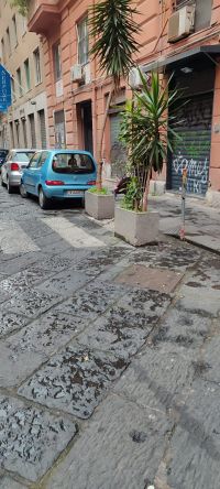 fuiruere rimosse napoli Napoli. Intervento di rimozione di paletti e fioriere abusive