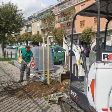 Napoli. Assessore Santagada: continua la ripiantumazione, oltre 4.500 nuovi alberi e arbusti entro il 2025