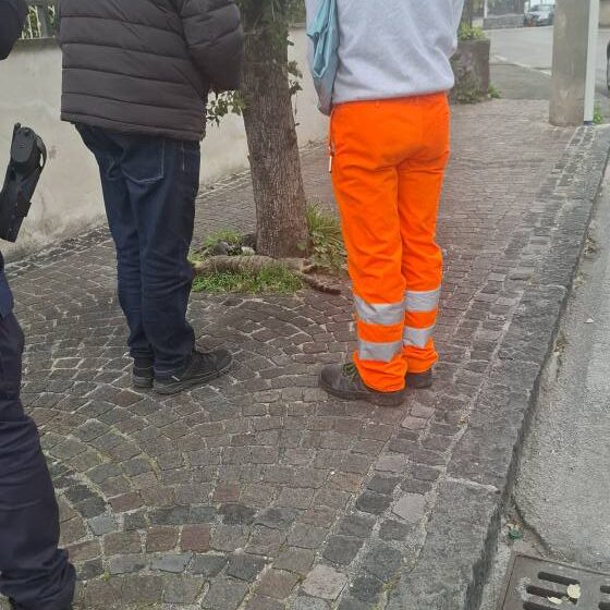 gatt morti San Sebastiano al Vesuvio. Mistero sui gatti trovati morti. Il sindaco Panico: “Attivati ASL e Istituto Zooprofilattico per verificare cause decesso. La Polizia Municipale ha aperto un’indagine”
