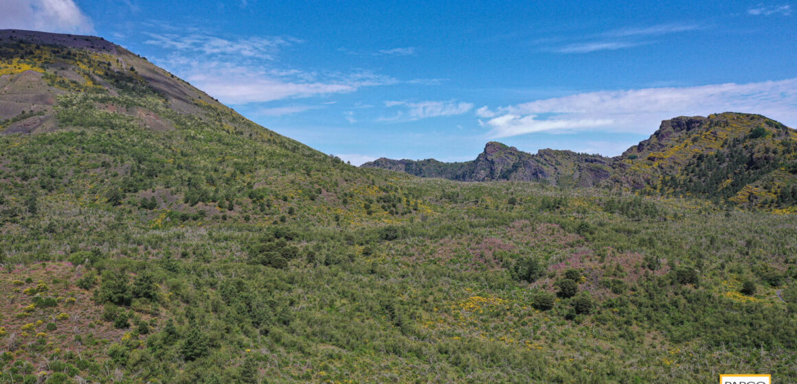 Parco Nazionale del Vesuvio. Riaperto il sentiero n.1 – Valle dell’Inferno