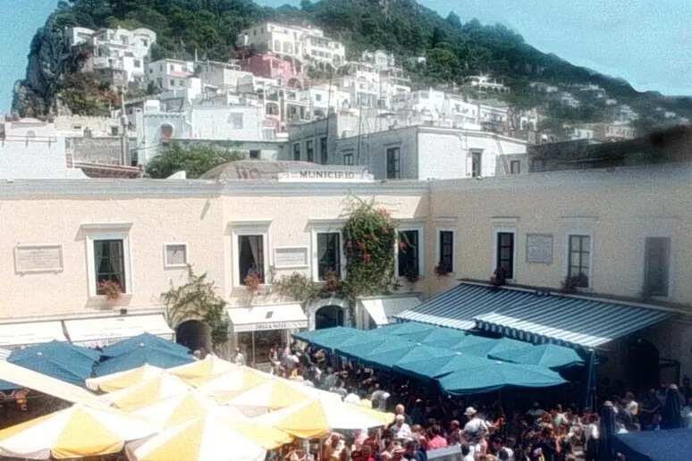 capri Capri. Ordinanza sindacale ‘antipetulanza’, vietato disturbare i turisti