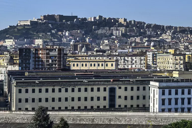 carcere poggiofreale napoli Omicidio Martina Carbonaro. Alessio Tucci trasferito dal carcere di Poggioreale per motivi di sicurezza