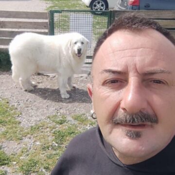 Giovanni De Stefano: “Lotta al randagismo e canili adeguati sono le priorità”. De Stefano  è stato nominato coordinatore provinciale del dipartimento nazionale di Forza Italia per il benessere degli animali.