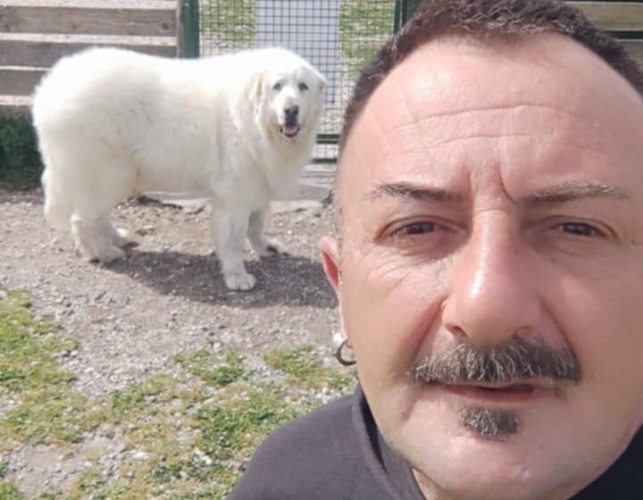 Giovanni De Stefano: “Lotta al randagismo e canili adeguati sono le priorità”. De Stefano  è stato nominato coordinatore provinciale del dipartimento nazionale di Forza Italia per il benessere degli animali.