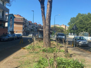 dec Napoli. Decoro urbano: interventi coordinati dalla task force nelle aree di Scampia, Ponticelli e Soccavo