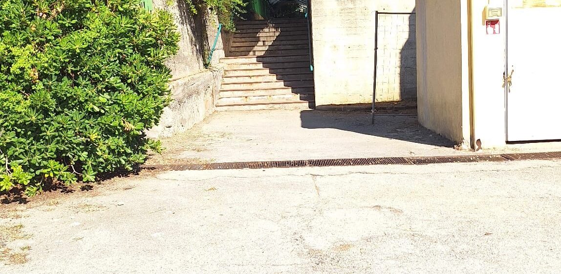 San Sebastiano al Vesuvio. Sfalciate aere verdi dei giardini scolastici, Panico: “Grazie ai tirocinanti Gol e i giardinieri rientro agevole nelle aule per i nostri studenti”