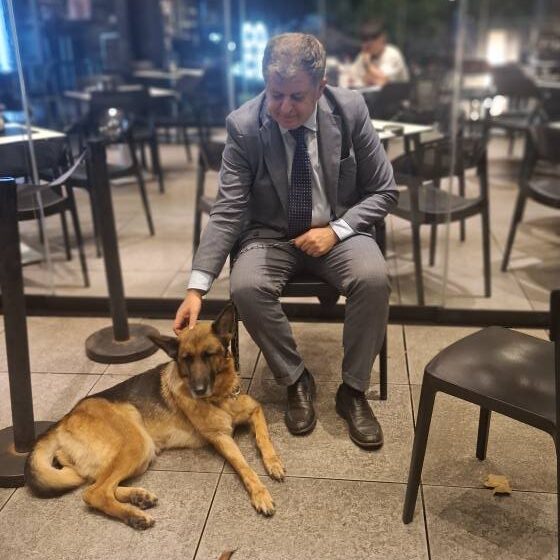 San Sebastiano al Vesuvio. Pastore tedesco trascinato con uno scooter, il sindaco Panico: “Cittadini hanno bloccato il motociclista,denunciato! Immediato intervento dei Carabinieri e Polizia Municipale. Denunciato!”