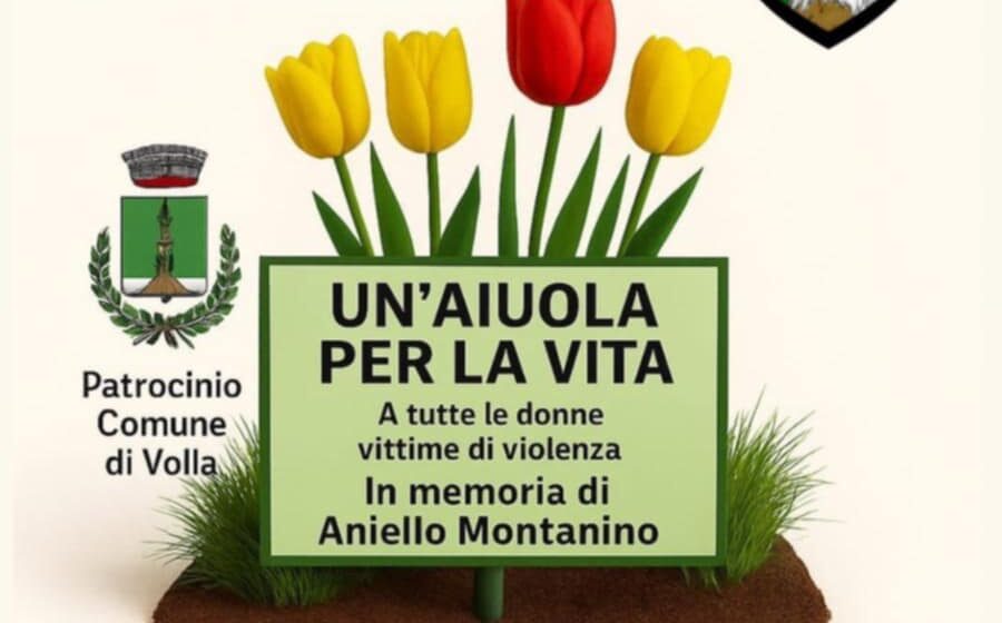 volla 25 novembre Volla. “Un’aiuola per la vita”, iniziativa CO.N.G.E.A.V. Provinciale NA1 per il 25 novembre. Sarà inaugurata una targa ad Aniello Montanino, giovane guardia ecologica da poco scomparsa