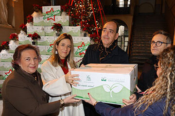 73b447b6caan abero solidale Napoli. Ritorna “L’Albero Solidale” del CAAN a Palazzo San Giacomo