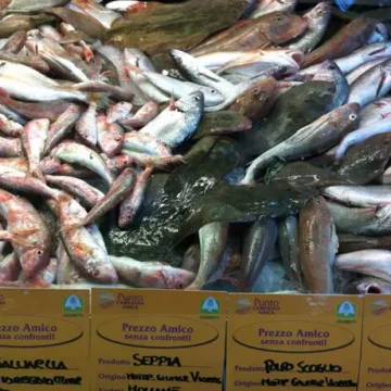 Capodanno in Campania, 131 euro a famiglia per il cenone. Ecco le stime di Coldiretti e Ixè