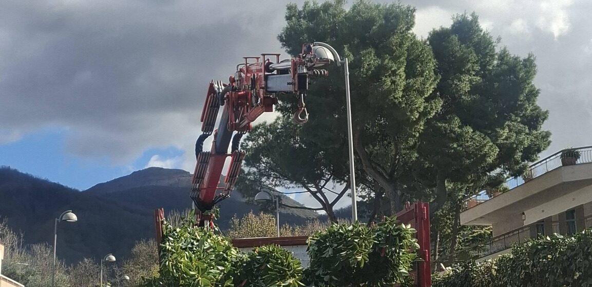 San Sebastiano al Vesuvio. Riqualificazione patrimonio arboreo, il sindaco Panico: “Oltre 140 alberi ripiantumati .Miglioreremo le vedute del Vesuvio e del Golfo di Napoli”