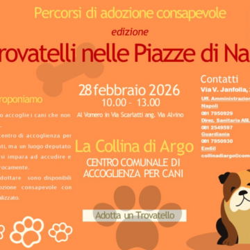 trovatelli napoli “I Trovatelli nelle Piazze di Napoli”: il Comune e l’ASL promuovono l’adozione consapevole al Vomero