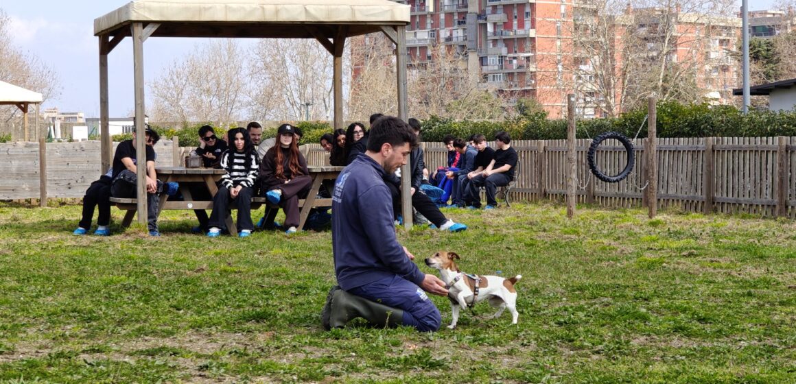 collina di argo cane strillo Napoli. Educare al rispetto degli animali, incontri con le scuole presso “La Collina di Argo”. Il progetto realizzato dal Comune e dall’Asl